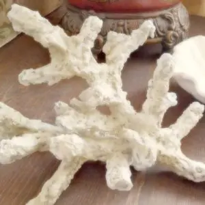 Какие украшения изготавливают из коралла