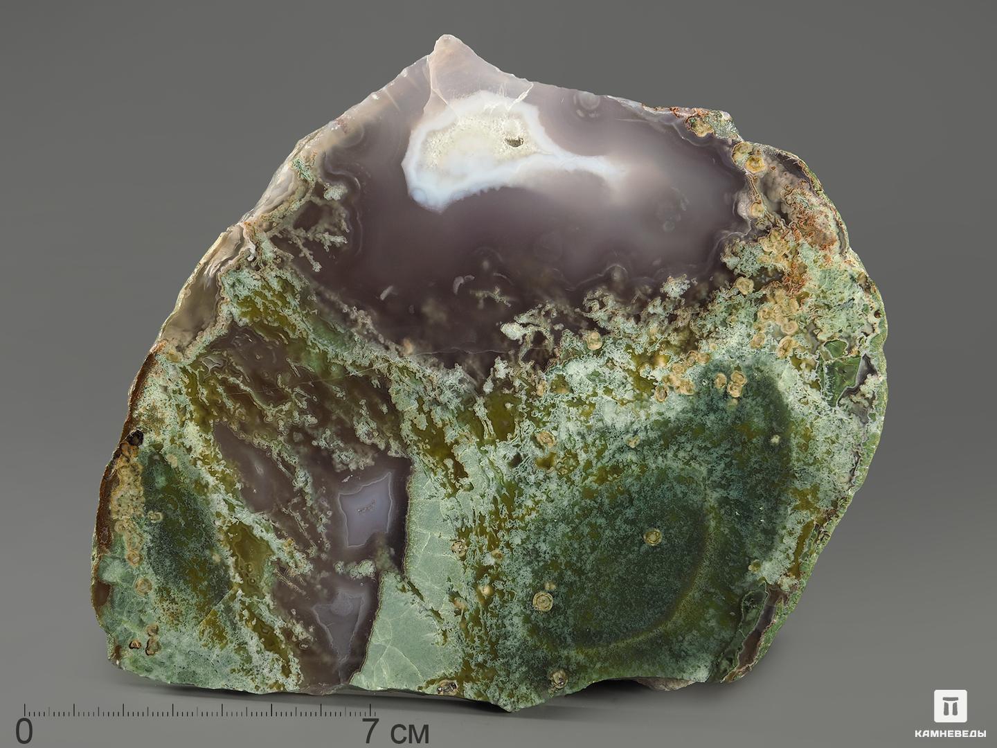 Moss Agate - Chalcedony - New 2021