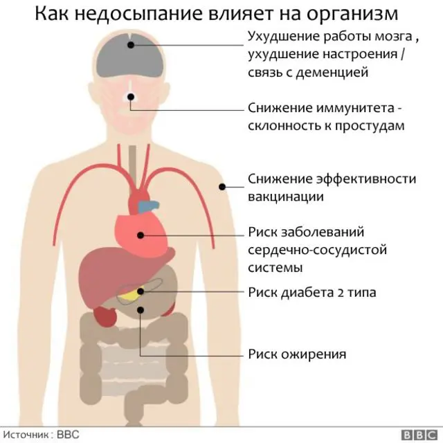 Обмен &#8212; важность сна