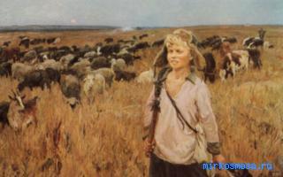 Shepherd - the meaning of sleep