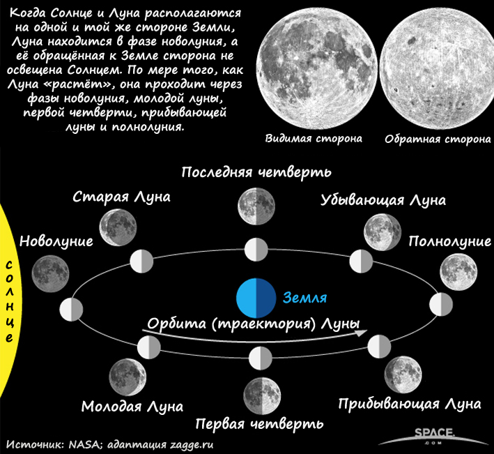 Как расположены луна земля и солнце во время новолуния и во время полнолуния сделайте рисунок