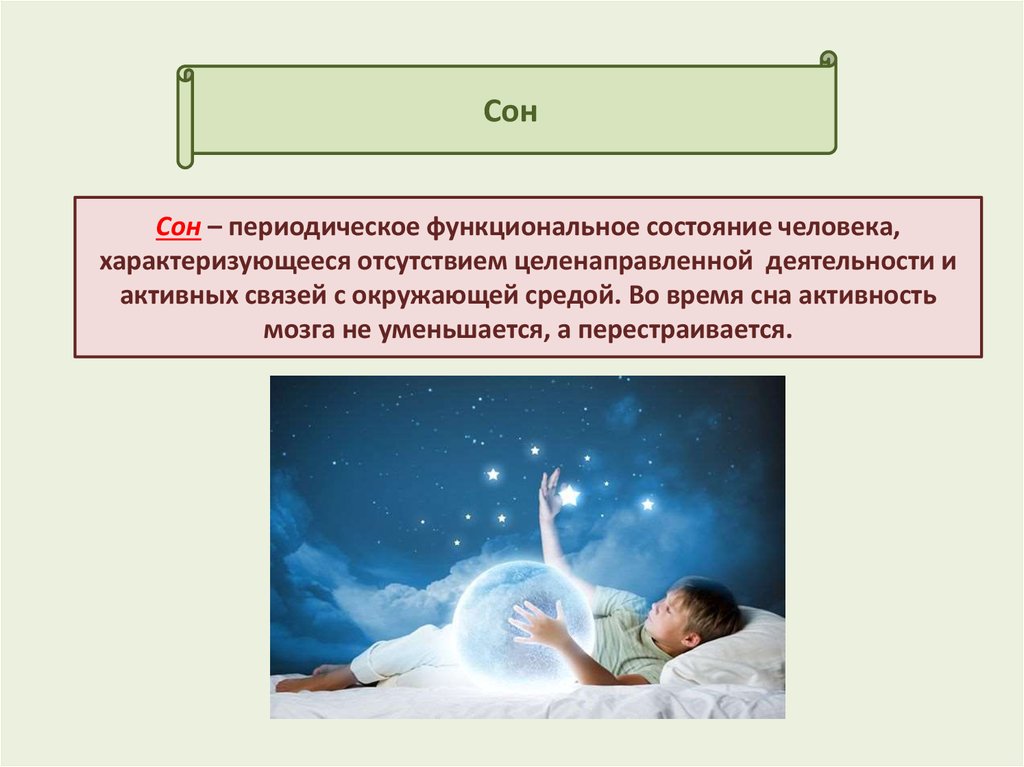 Presentation - the meaning of sleep