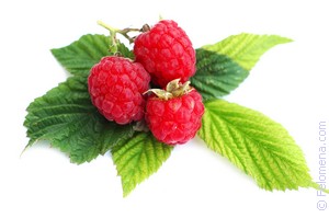 የ Raspberries ህልም አየሁ? ምን ማለት እንደሆነ እንገልፃለን!