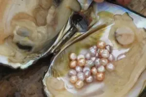 Розовый жемчуг