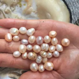 Серьги с речным жемчугом
