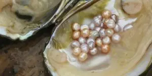 Серьги с речным жемчугом