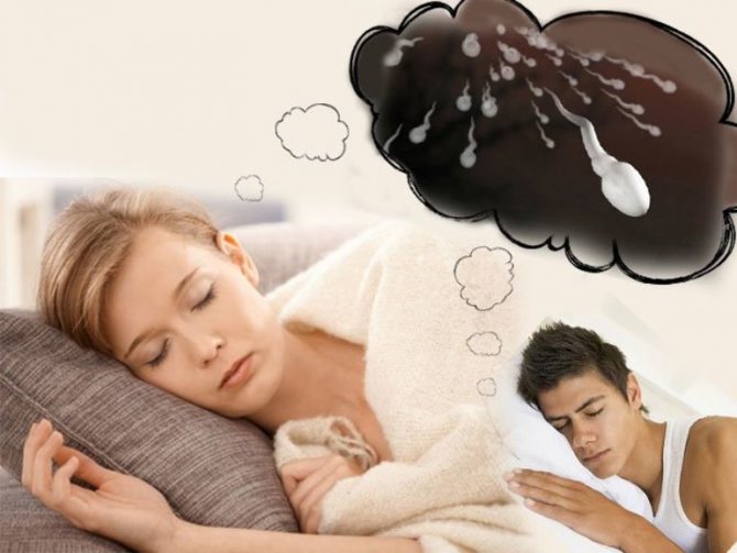 Spermie - význam spánku