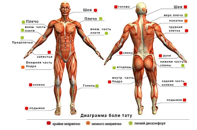 Таблица боли при татуировке (шкала): какое самое (наименее) болезненное место (мужское и женское)