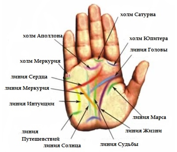 Умеете ли вы читать линию интуиции и линию процветания?