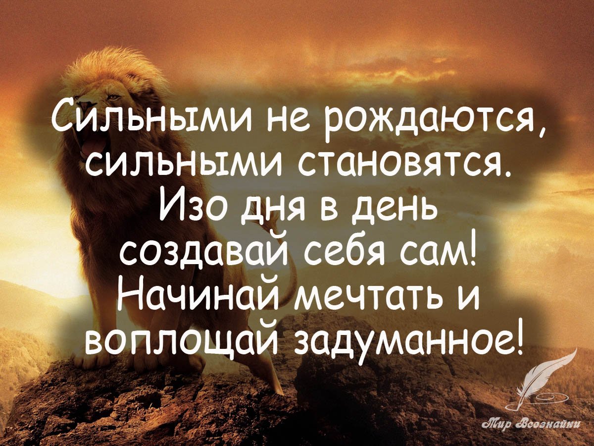 Мотивирующие цитаты