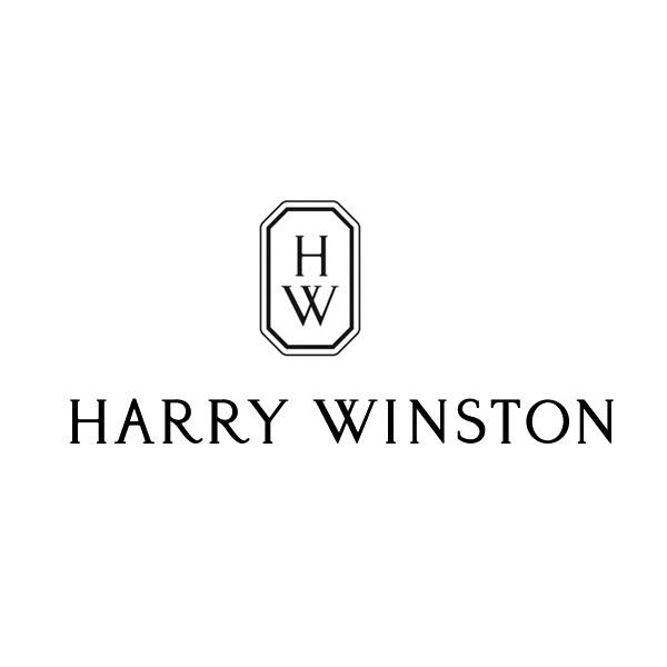 Шта чека бренд Харри Винстон у рукама Сватцх групе