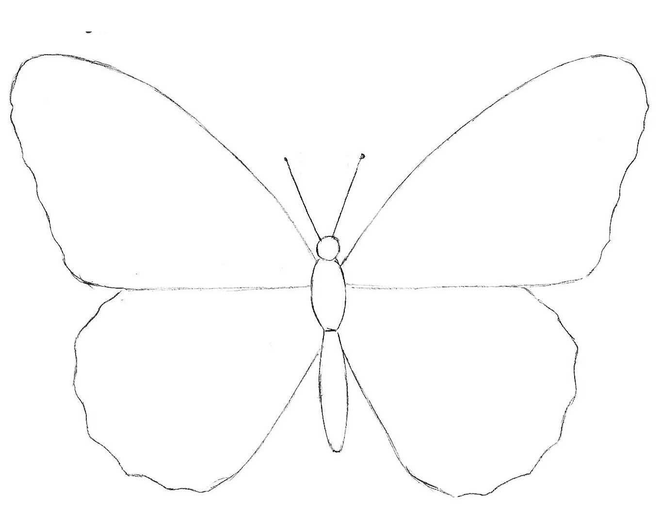 Kako nacrtati leptira