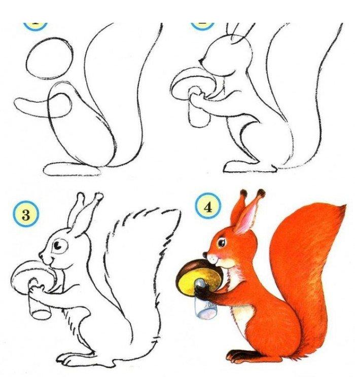 Wie man ein Eichhörnchen zeichnet