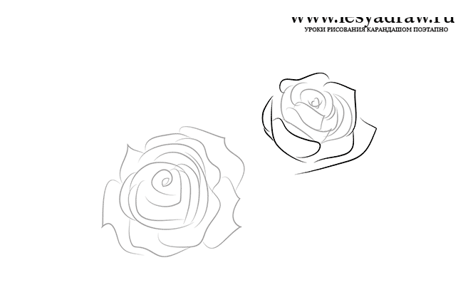 Как нарисовать букет роз в вазе карандашом