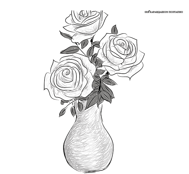 Kako nacrtati buket ruža u vazi olovkom