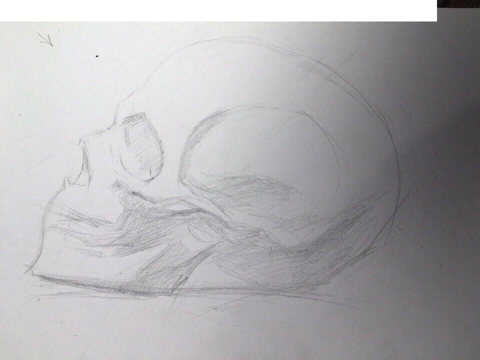 Как нарисовать череп карандашом