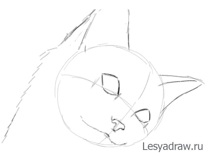 Как нарисовать грустного котенка
