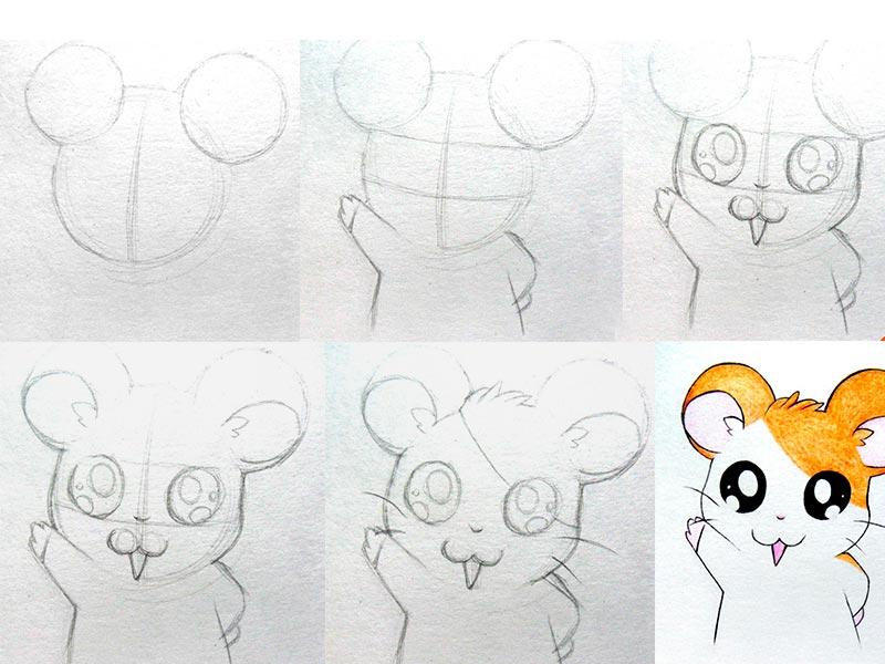 Как нарисовать хомяка карандашом поэтапно (3 варианта)
