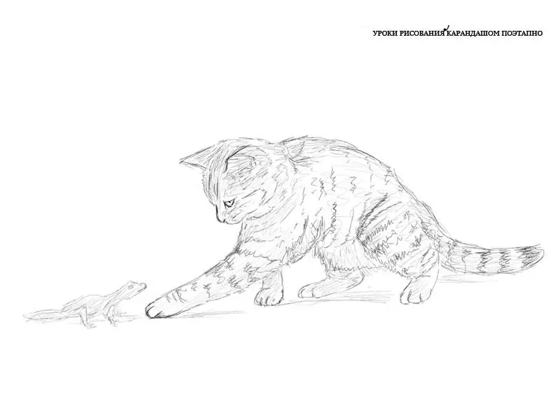 Как нарисовать играющуюся кошку