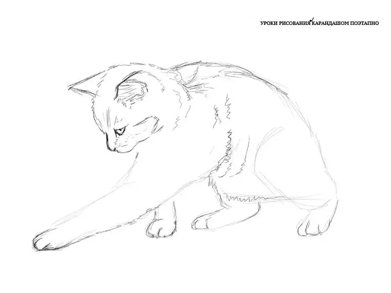 Как нарисовать играющуюся кошку