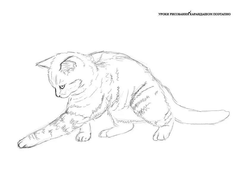 Как нарисовать играющуюся кошку