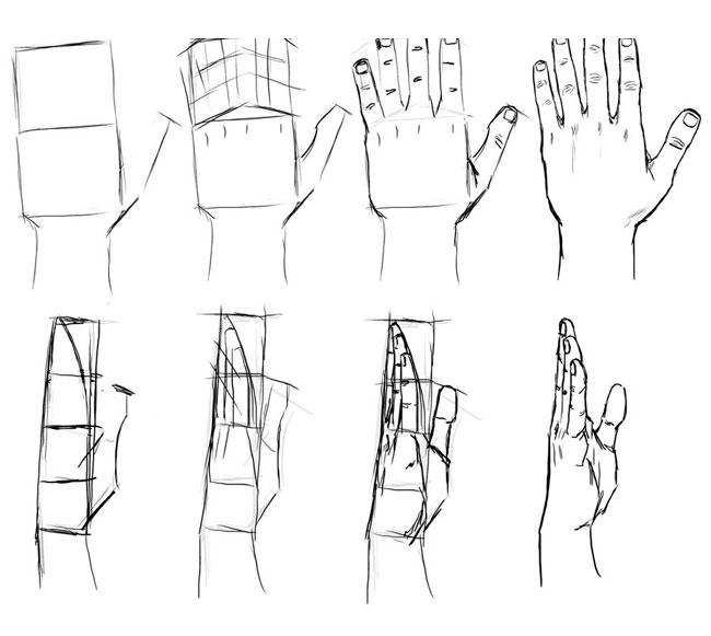 Как нарисовать кисти рук карандашом поэтапно