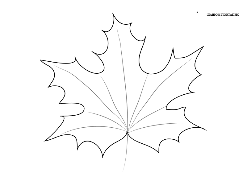 How to draw a maple leaf with a pencil step by step