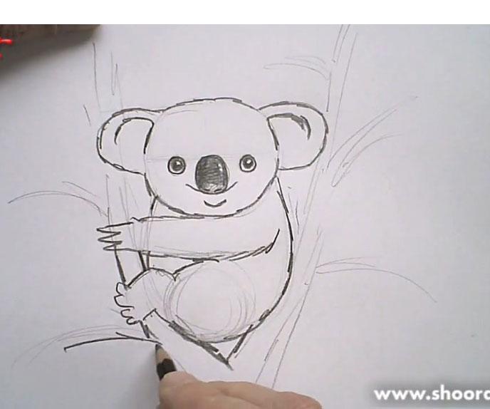 Как нарисовать коалу карандашом поэтапно
