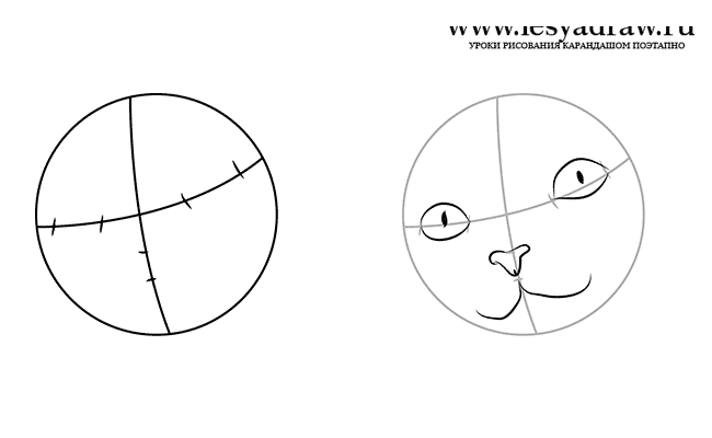 Как нарисовать кошку сфинкса