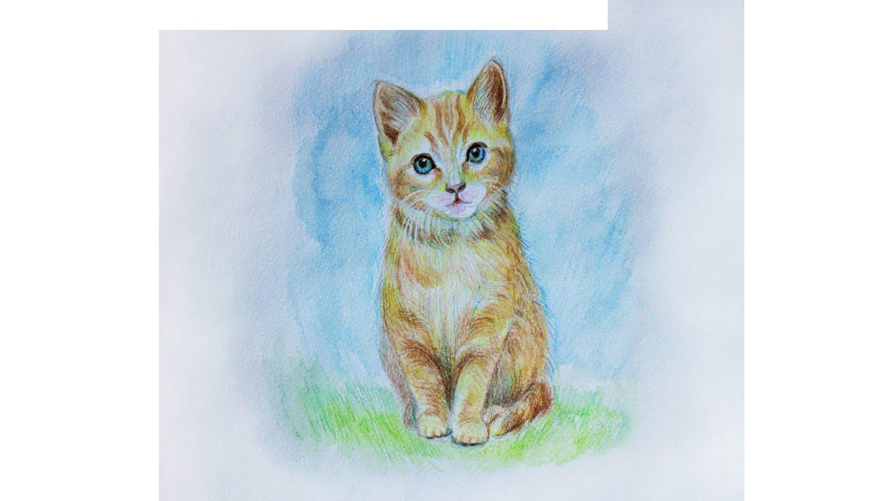 Si të vizatoni një mace me lapsa me bojëra uji dhe bojëra uji