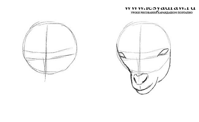 Как нарисовать козленка карандашом поэтапно