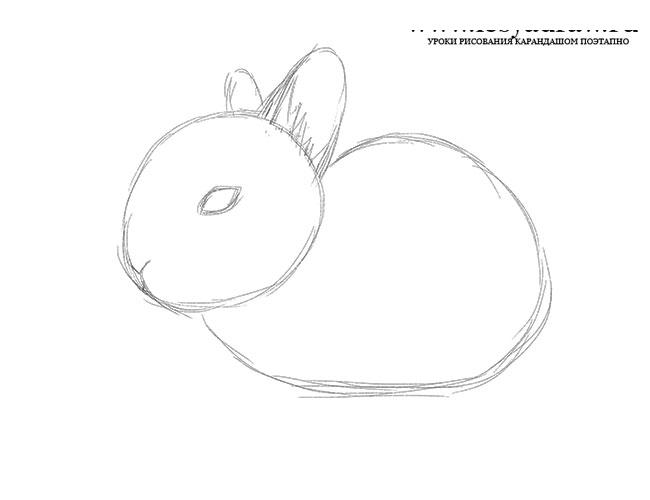 Нарисовать по координатам кролика