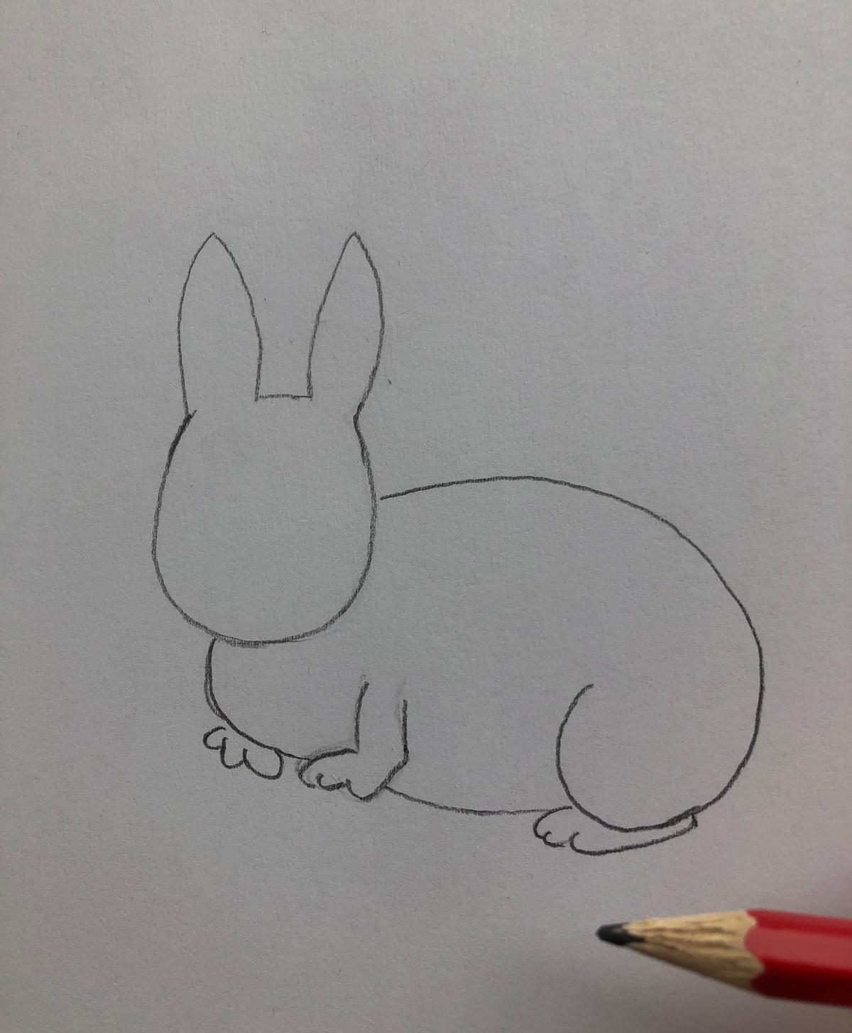 Как нарисовать кролика — пошаговая инструкция [ФОТО]