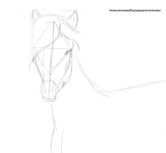 Рисунок карандашом лошади поэтапно карандашом - 95 фото