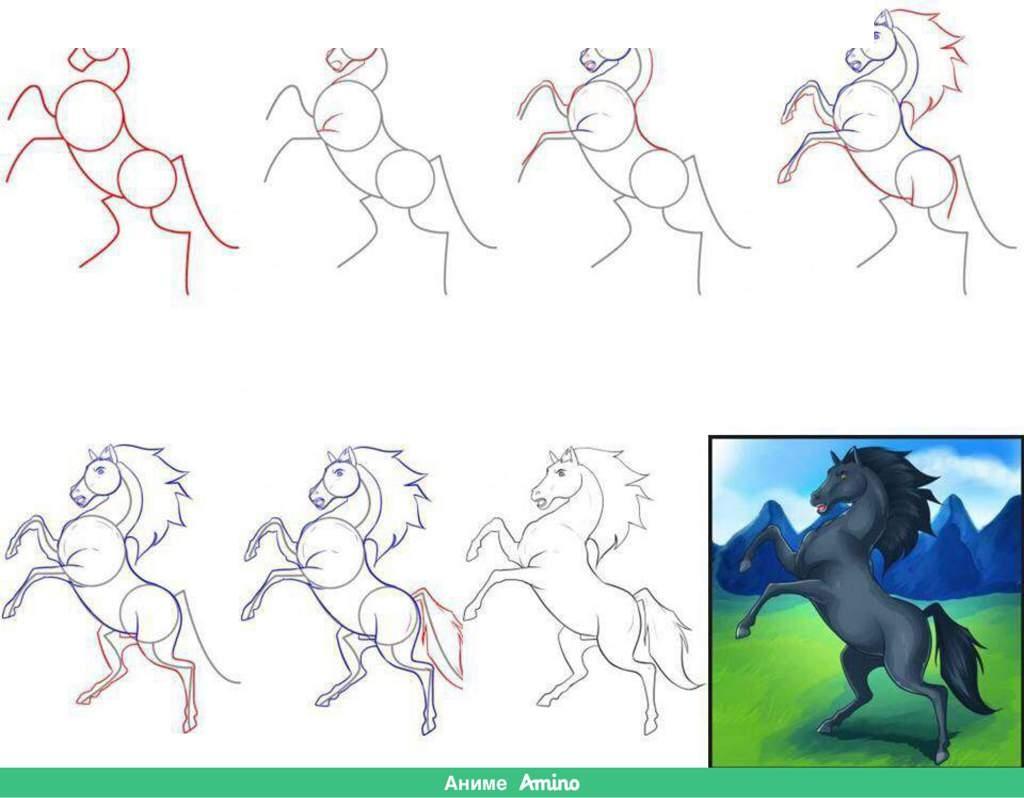 Как нарисовать коня карандашом поэтапно