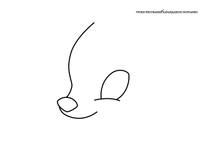 Как нарисовать олененка Бэмби карандашом поэтапно