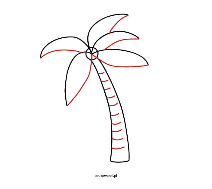 Как нарисовать пальму &#8212; пошаговая инструкция в картинках
