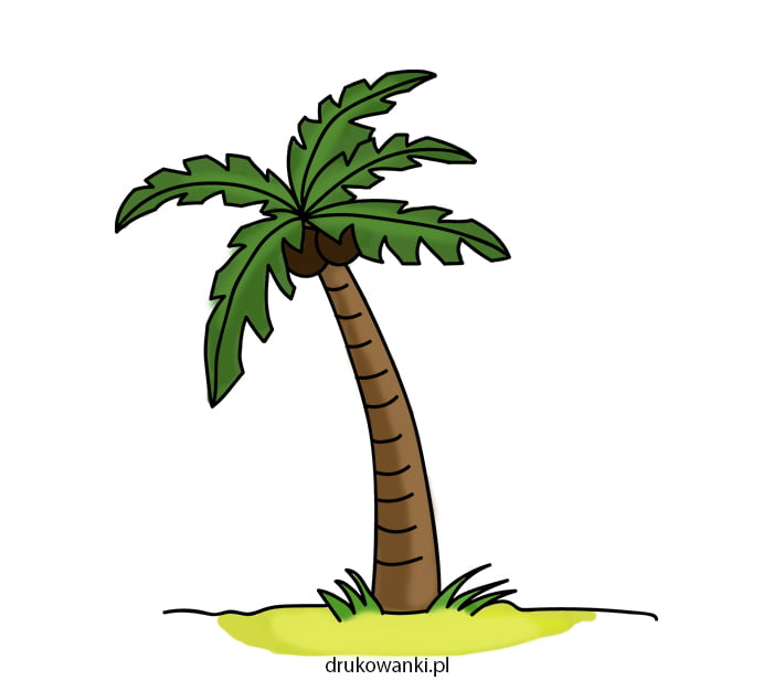 Как нарисовать пальму &#8212; пошаговая инструкция в картинках