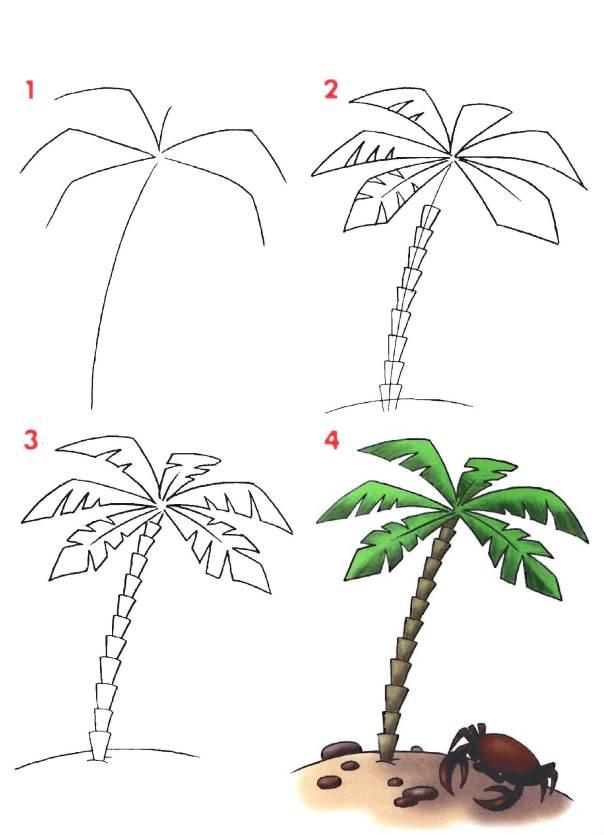 Kuinka piirtää palmu - vaiheittaiset ohjeet kuvissa