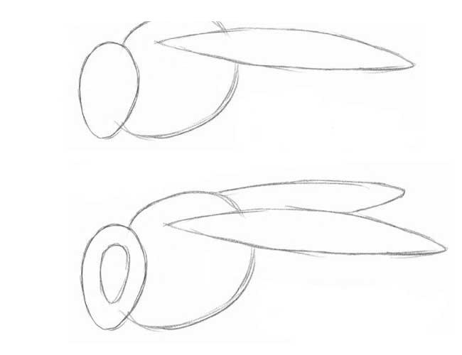Нарисовать пчелку карандашом поэтапно