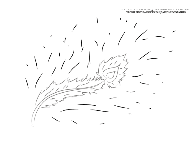 Как нарисовать перо Жар-птицы