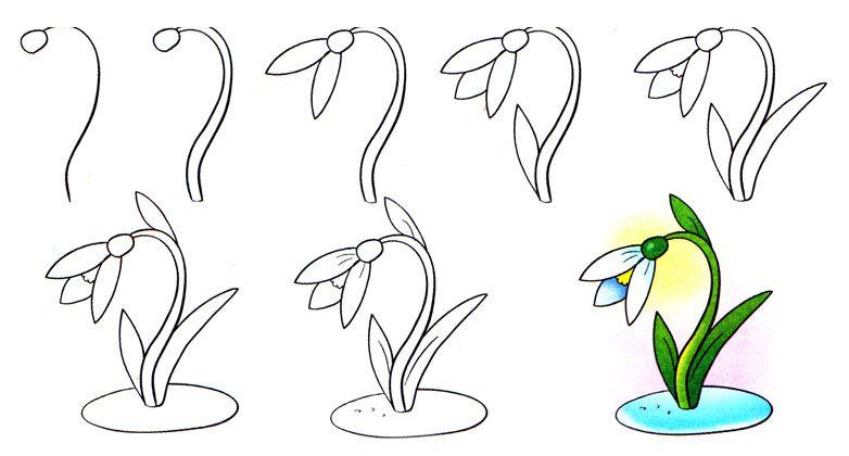Hogyan rajzoljunk hóvirágot