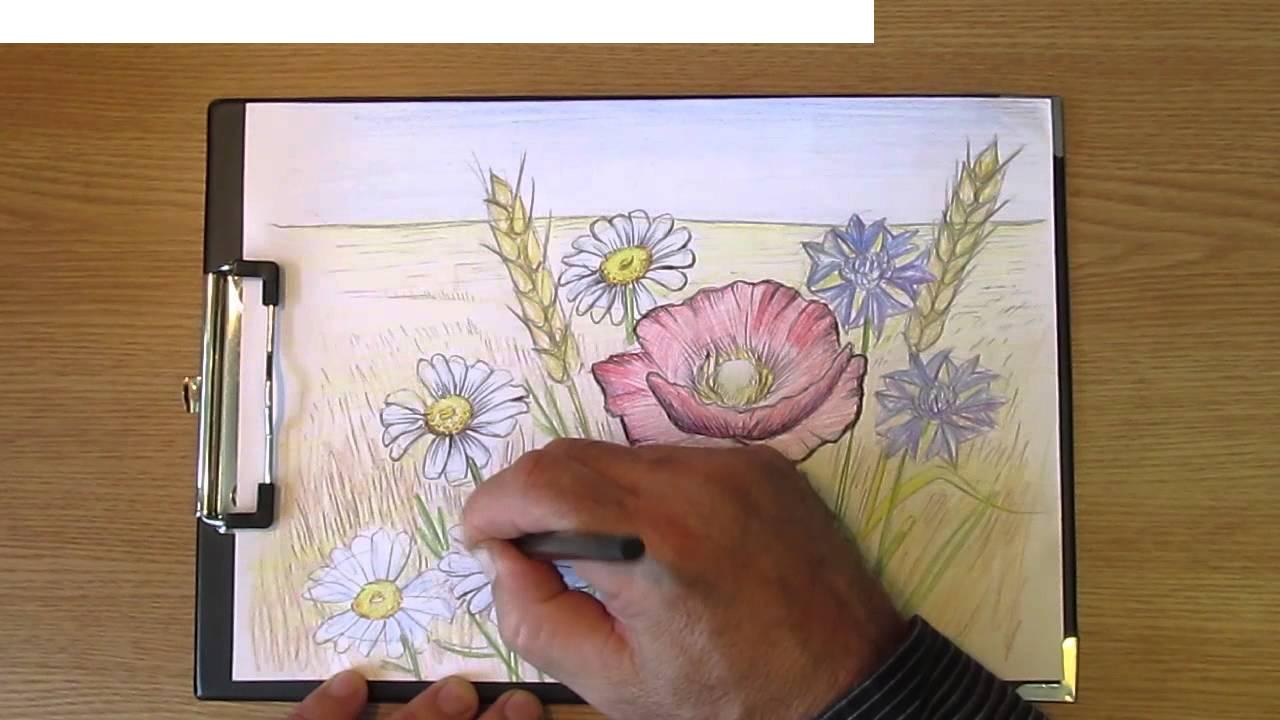 Как да нарисувате диво цвете