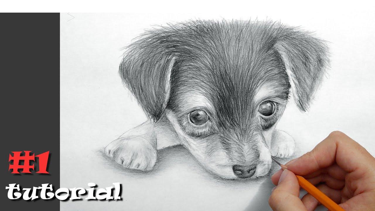 Cómo dibujar un retrato de un cachorro.