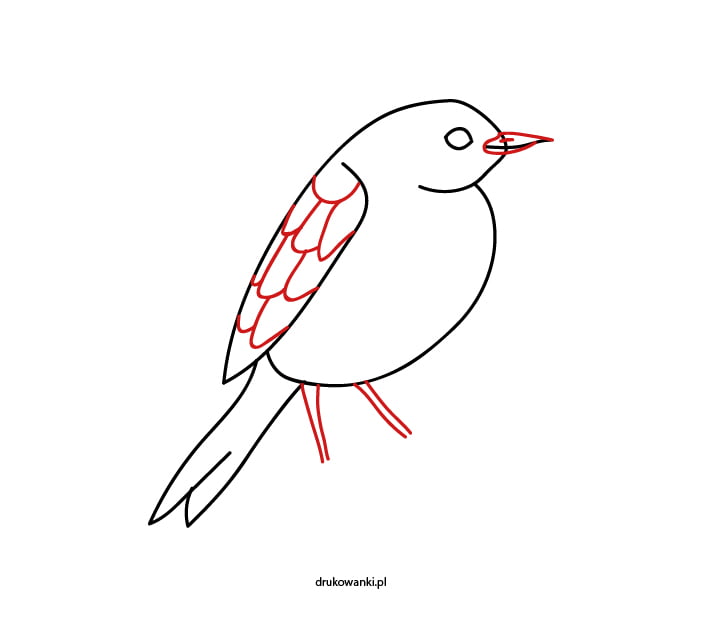 Как нарисовать птицу &#8212; инструкция по картинкам для детей