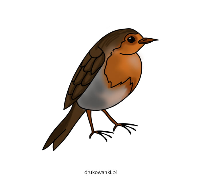 Как нарисовать птицу &#8212; инструкция по картинкам для детей