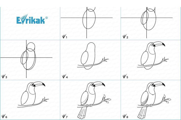 Kaip nupiešti paukštį - paveikslėlių instrukcija vaikams