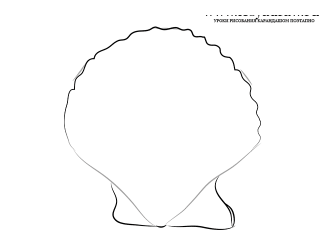 Как нарисовать ракушку карандашом поэтапно