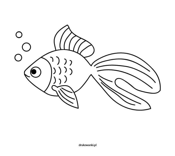Как нарисовать рыбку — простая пошаговая инструкция для детей.