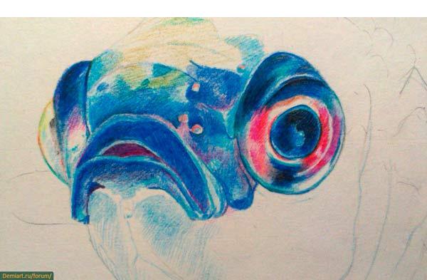 Как нарисовать рыбу цветными карандашами